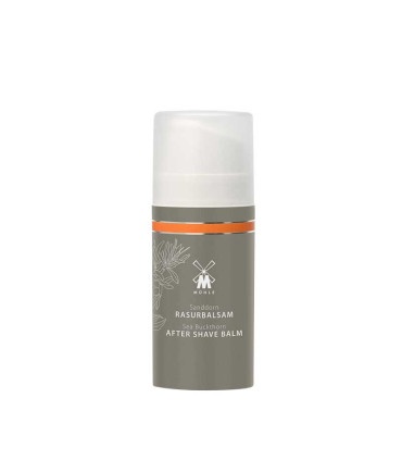 Aftershave Bálsamo Espino Amarillo MÜHLE 100 ml - 2