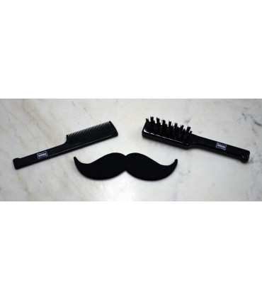Set Peine y Cepillo Barba y Bigote Proraso - 2