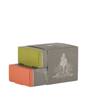 Pack Dúo Jabones Afeitar Alóe Vera y Pomelo/Menta Mühle - 2