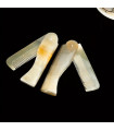 Peine Barba Cuerno Natural Plegable SensaBien